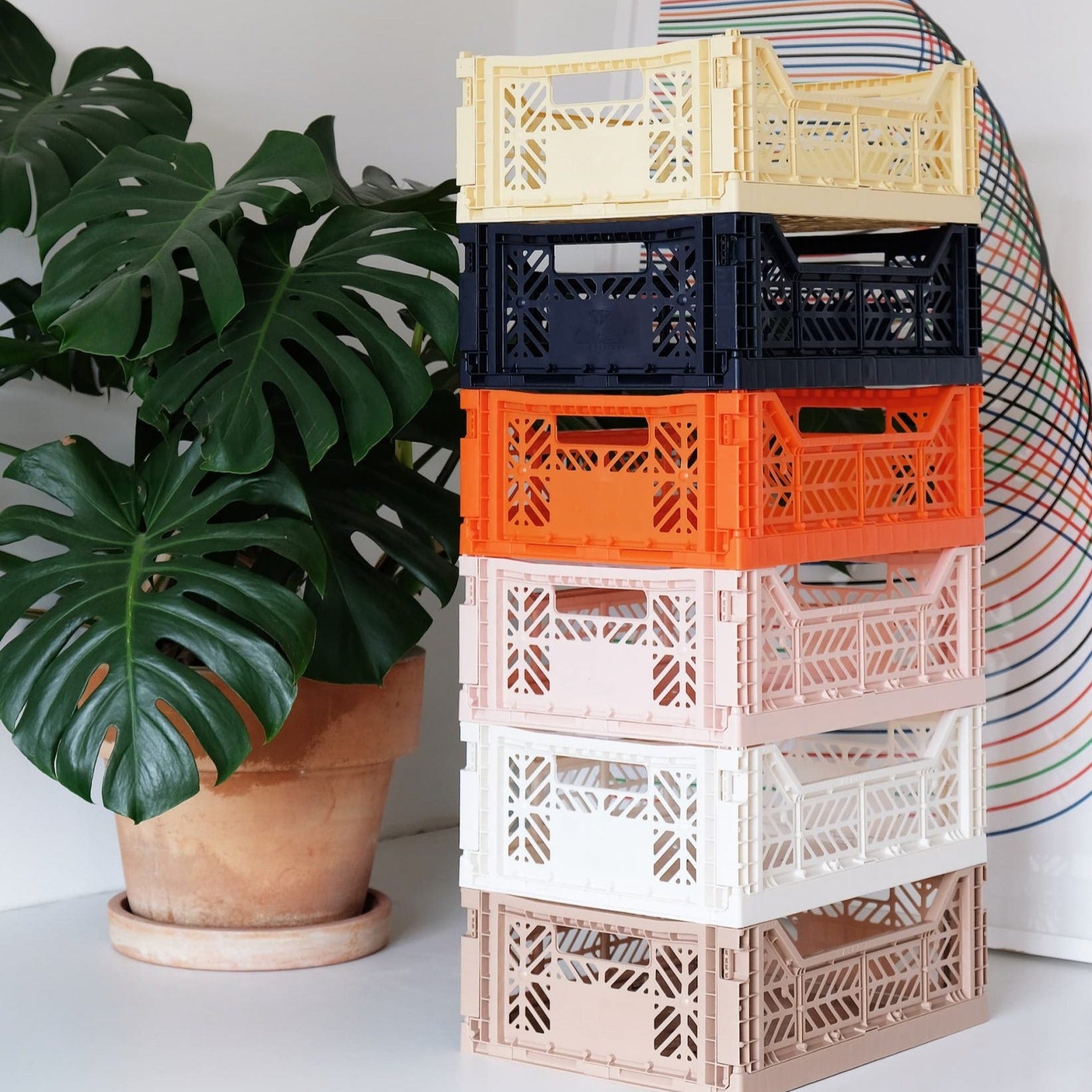Aykasa Storage Crate – Alt Haus Interior Design