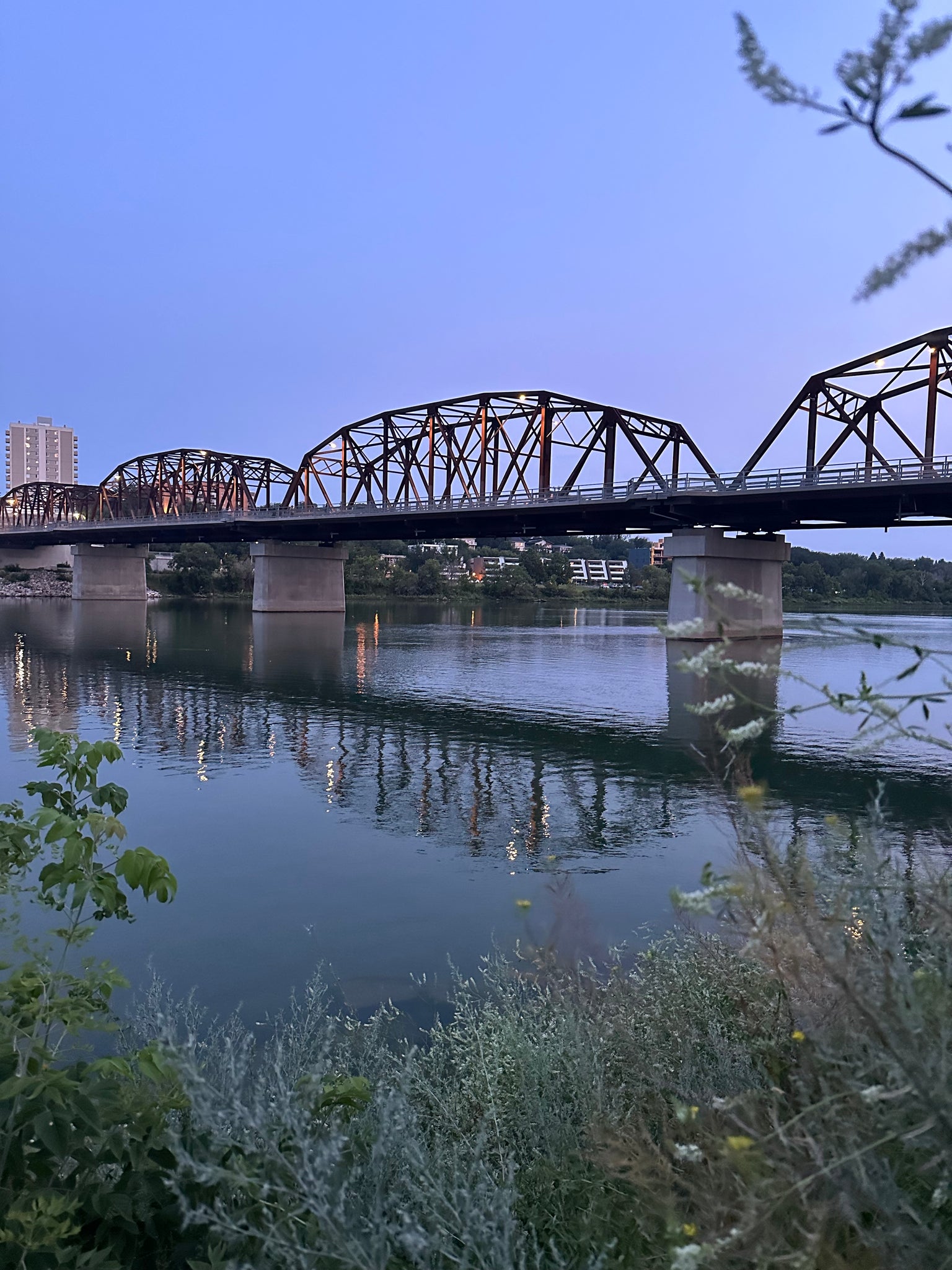 Victoria Bridge Print | Miranda Van Young