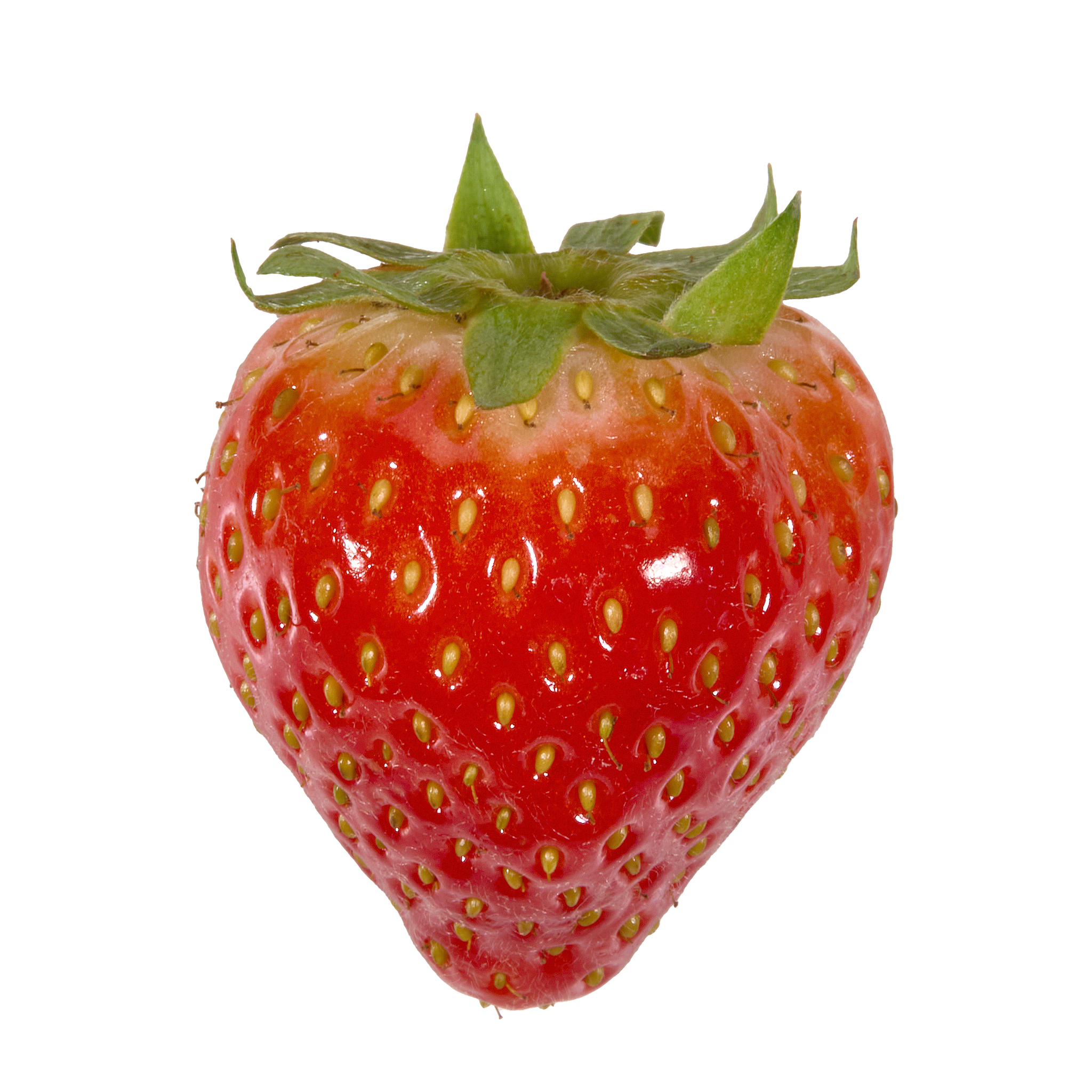 Strawberry Sticker