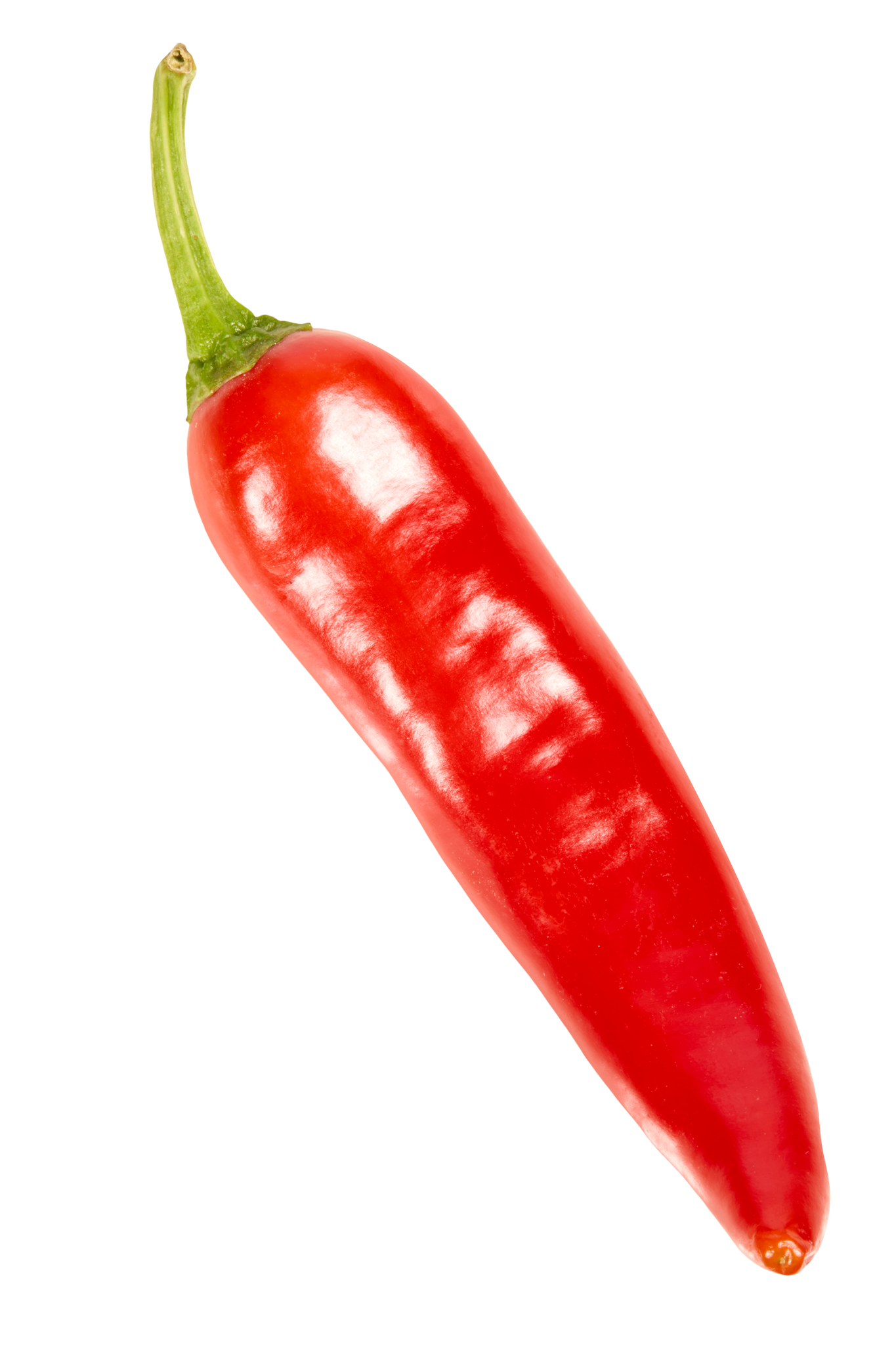 Hot Pepper Sticker