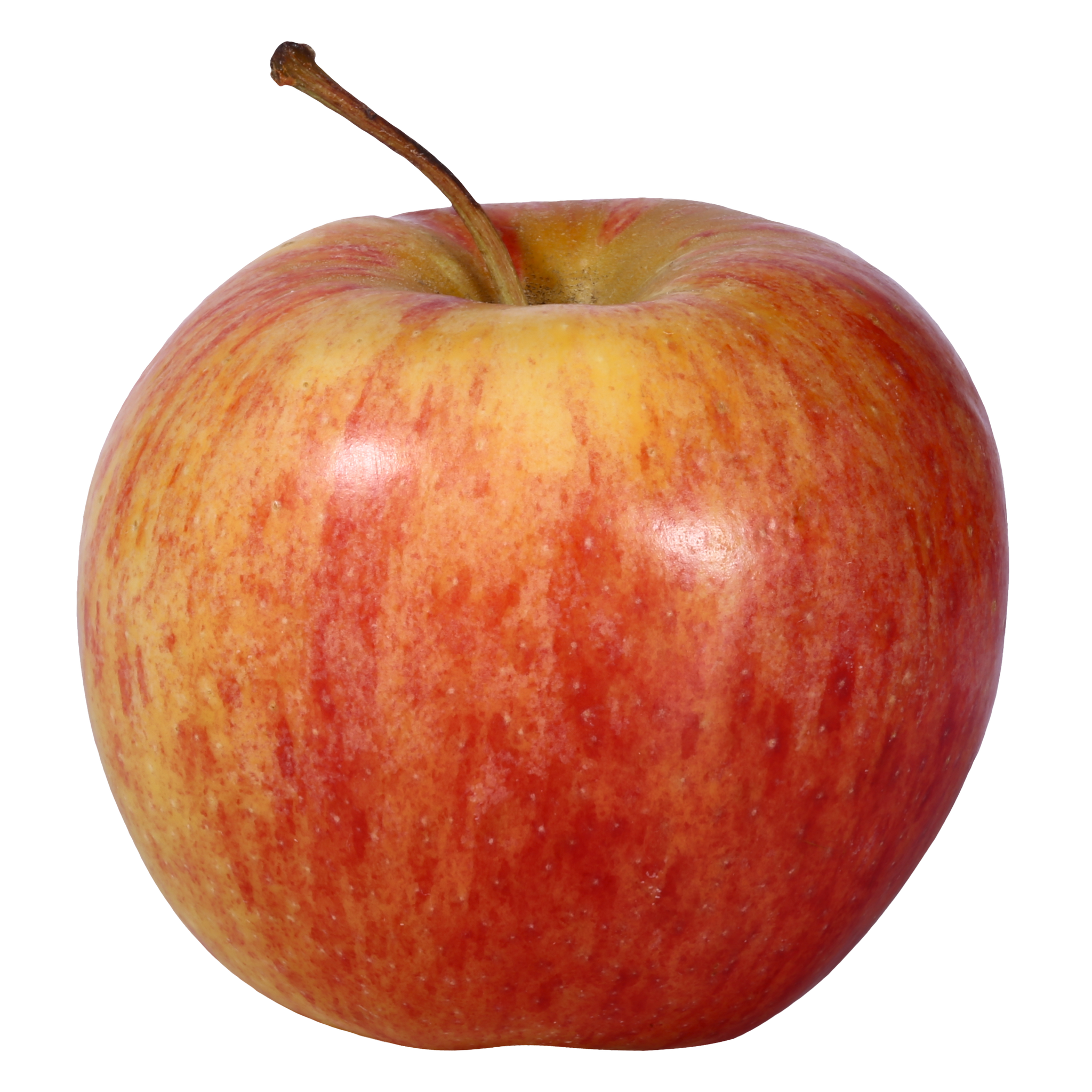 Apple Sticker