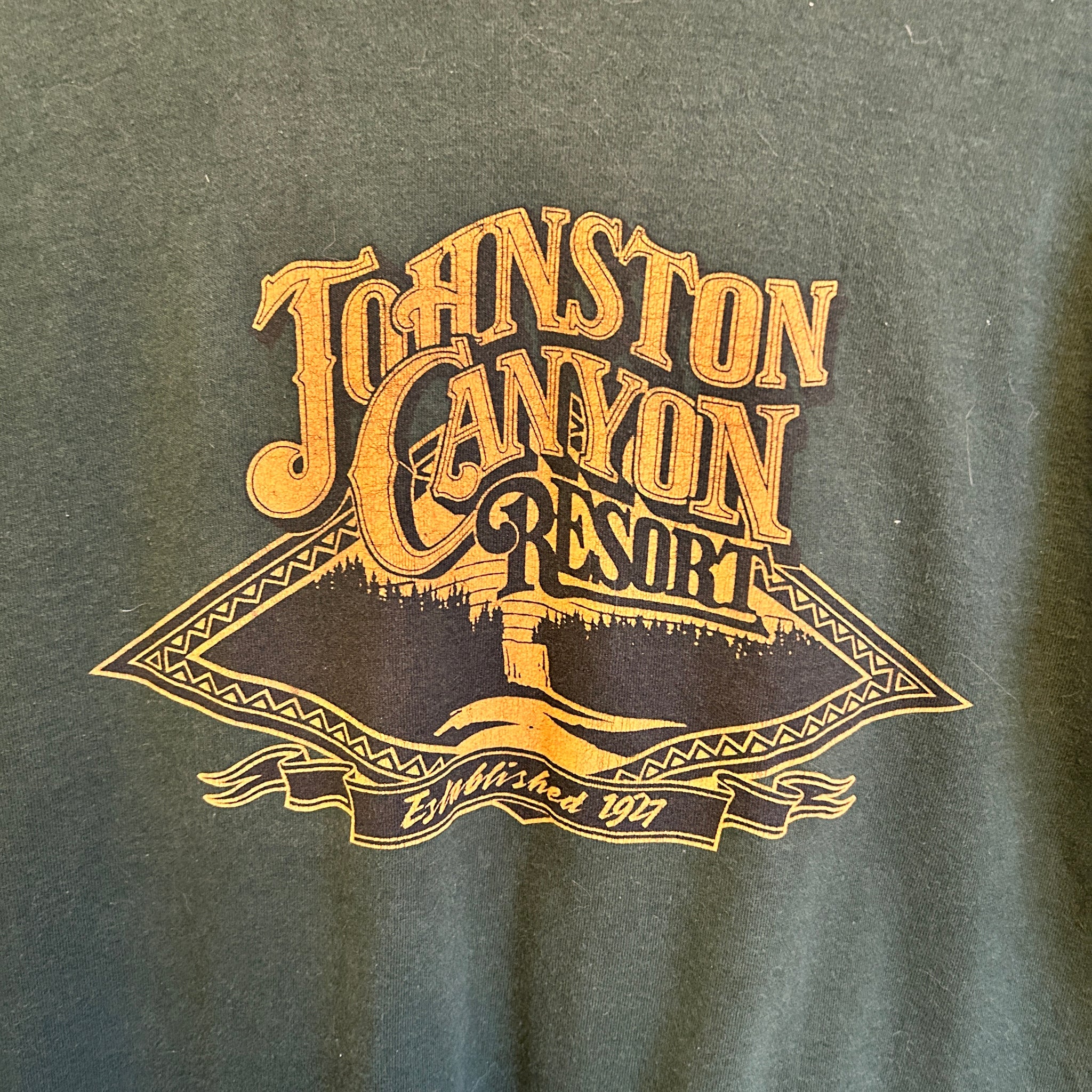 Johnston Canyon Tee | M